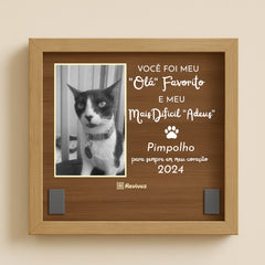 Placa Memorial - Meu 